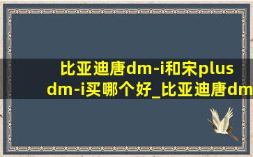 比亚迪唐dm-i和宋plus dm-i买哪个好_比亚迪唐dmi一年用车成本